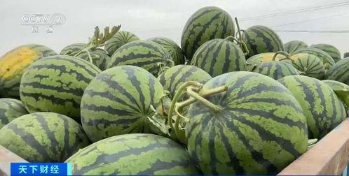 211在线吃瓜,揭秘校园热点事件背后的真相