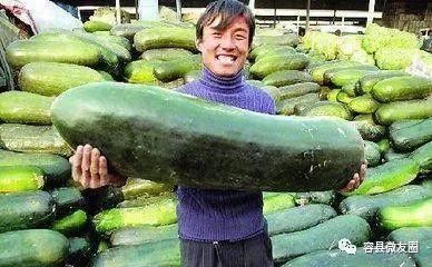 吃瓜3 1,揭秘娱乐圈背后的风云变幻