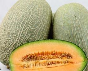 体检吃哈密瓜,甜蜜营养新选择