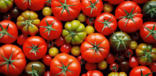 吃瓜少女吃鸡蛋视频大全