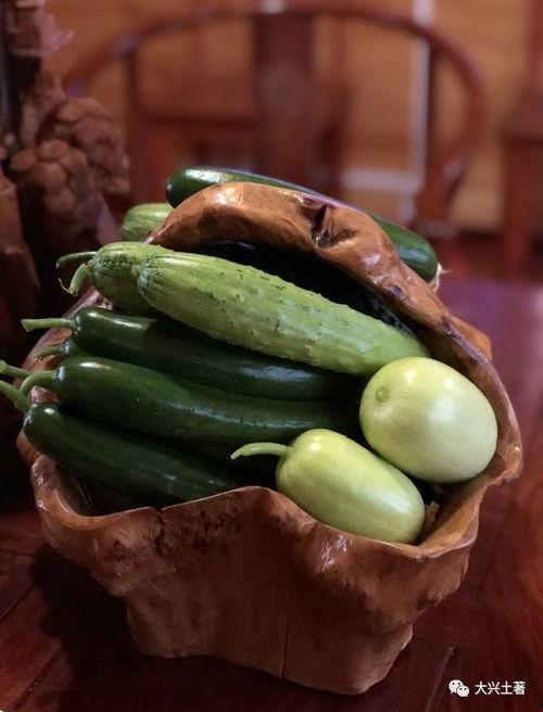 姜堰网红吃瓜,揭秘网络红人的幕后故事