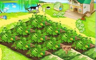 在仙境里吃瓜小说,穿越时空的甜蜜冒险