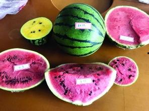 围观吃瓜却发现,揭秘娱乐圈背后的真相