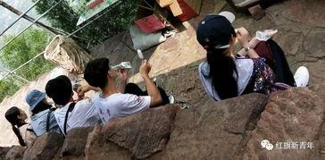 近期吃瓜小分队,吃瓜小分队近期热辣事件大盘点