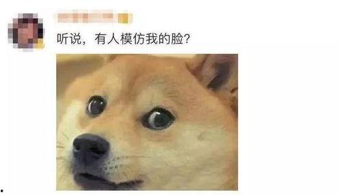 微信吃瓜表情内涵,网络社交中的趣味与内涵