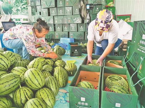 近期文安热门吃瓜事件,揭秘近期热门吃瓜事件背后的真相