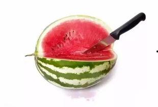 吃瓜的心机蛋,一场关于美食与智慧的较量