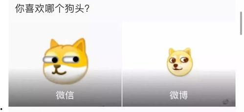 旺柴吃瓜表情包,网络新宠，笑点满满