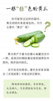 吃瓜的心机蛋,一场关于美食与智慧的较量