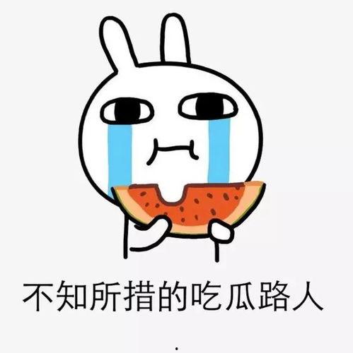 在线吃瓜蓬莱,揭秘网络热点的幕后故事