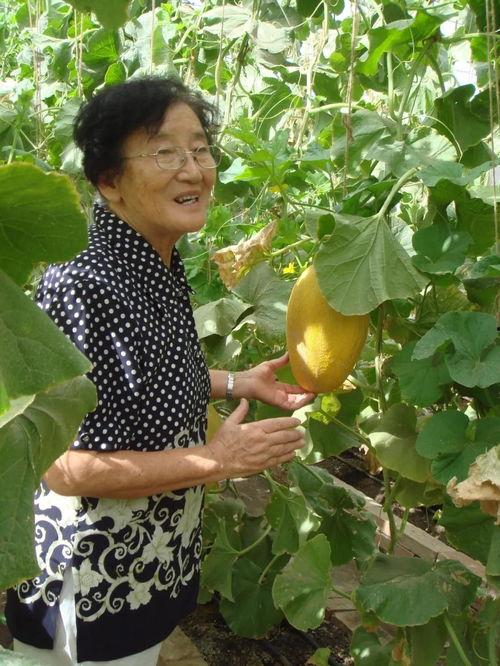 半山吃瓜,探寻隐匿山间的美食秘境