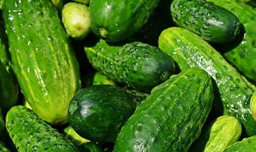 半山吃瓜,探寻隐匿山间的美食秘境