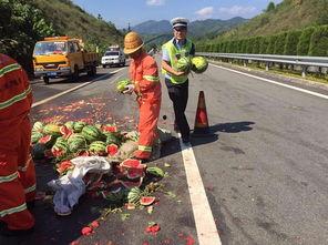 浙江丽水吃瓜,探寻浙江瓜果飘香之旅