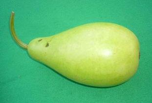 秋季吃蒲瓜好吗