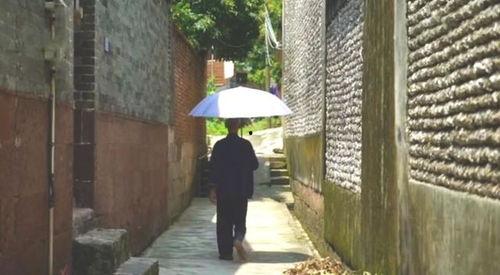 寿光顶楼吃瓜事件,一场意外引发的邻里纠纷与反思