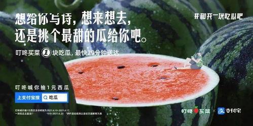 吃很多瓜文案,揭秘那些让人垂涎欲滴的瓜界风云