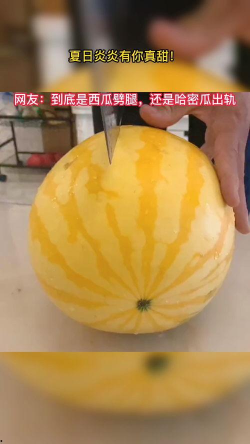 奇闻趣事吃瓜,吃瓜群众眼中的荒诞世界