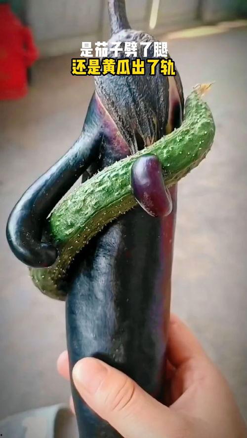 奇闻趣事吃瓜,吃瓜群众眼中的荒诞世界