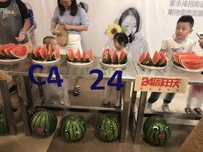 吃瓜机器比赛,智能瓜农的科技盛宴