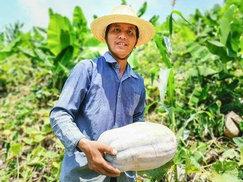 善良吃瓜群众视频,揭秘娱乐圈幕后真相