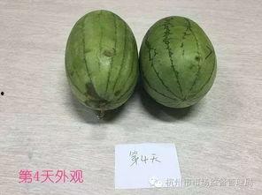 吃瓜长知识,揭秘娱乐圈背后的秘密