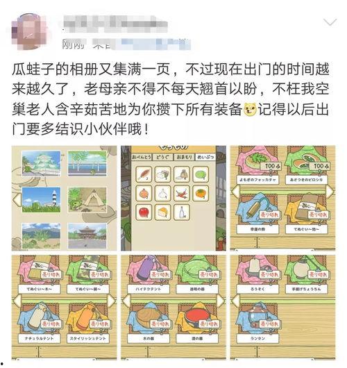 吃瓜蛙不甜,探寻瓜农与甜蜜背后的故事