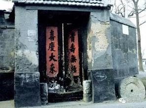 大杂院吃瓜文,邻里琐事，笑料百出