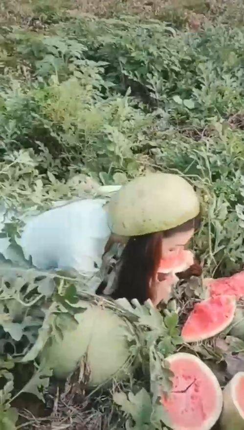 小姐姐吃瓜搞笑视频,小姐姐吃瓜搞笑视频集锦