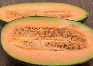 吃黑鱼可以吃哈密瓜吗,探寻饮食搭配的奇妙之旅