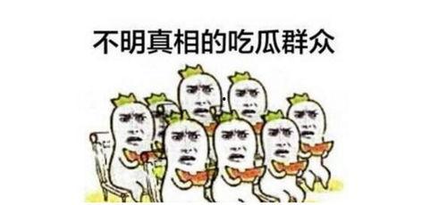 吃瓜群众无脑下单图,吃瓜群众下单狂欢背后的真相