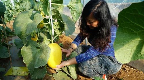 带你吃瓜干饭人
