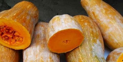 吃方瓜利尿吗,“方瓜食用对利尿效果的分析与探讨”