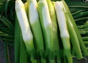 吃瓜四排,揭秘娱乐圈背后的八卦风云