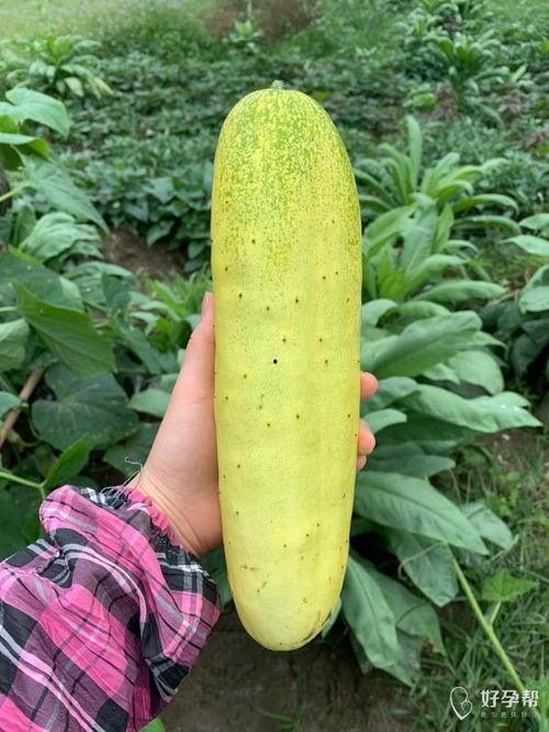 哈婆吃瓜,揭秘娱乐圈背后的那些事儿