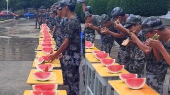 吃瓜机器比赛,智能瓜农的科技盛宴