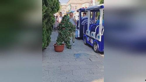 小火车吃瓜视频,一场趣味横生的欢乐盛宴