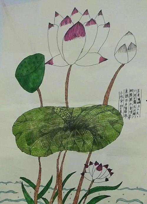 吃瓜小画家,吃瓜小画家的奇幻美食之旅