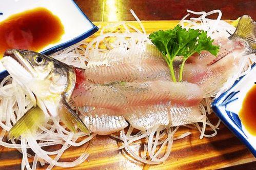 带你吃瓜奇葩鱼类