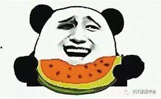 梦飞吃瓜群众,揭秘娱乐圈幕后故事