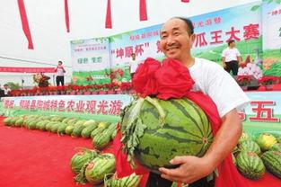 鄢陵县吃瓜,探寻当地特色美食之旅