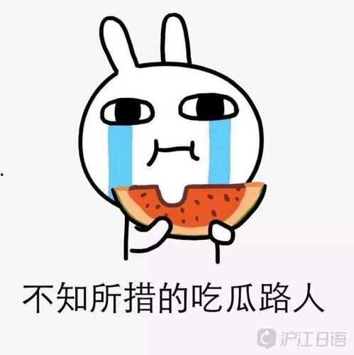 吃瓜路人在线吃瓜,吃瓜路人如何在线热议娱乐圈风云