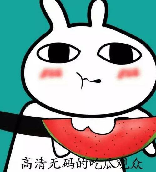 吃瓜路人在线吃瓜,吃瓜路人如何在线热议娱乐圈风云