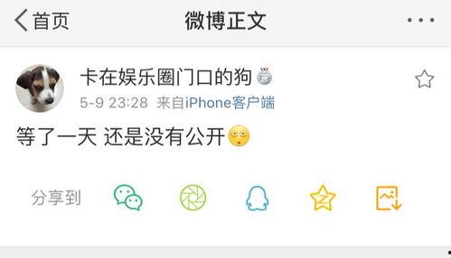 91爆料吃瓜,娱乐圈最新吃瓜大揭秘！