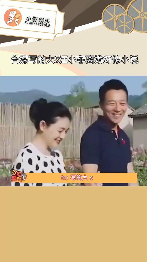 依然吃瓜小说,揭秘娱乐圈背后的秘密与真相