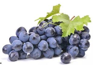 吃瓜还是吃葡萄