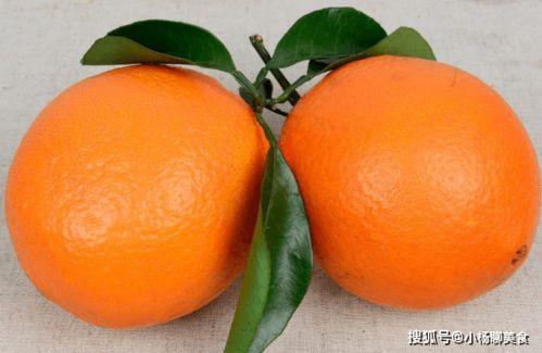 石瓜吃橙子视频,一场趣味横生的美食对决