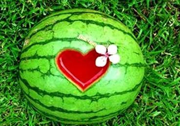 病人梦到吃瓜,揭秘病人潜意识里的渴望与疗愈