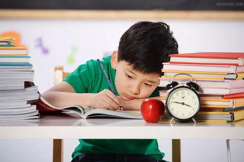 认真吃瓜宝宝文案,揭秘“认真吃瓜宝宝”的瓜界传奇