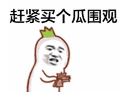 光头强吃瓜表情包,笑翻网友的欢乐源泉