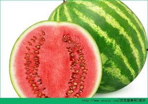 减肥可以全天吃瓜吗,减肥之路可行否？